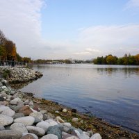 ... :: Лариса Корж