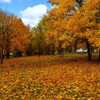 Чебоксары. Сквер им. Чапаева осенью. :: Пётр Чернега Чебоксары. Сквер им. Чапаева осенью. :: Пётр Чернега