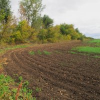 октябрь :: Елена Шаламова октябрь :: Елена Шаламова