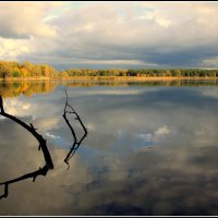 *** :: Aleksandr Gal