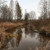 предзимье :: сергей предзимье :: сергей