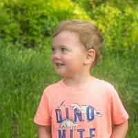 3975 :: Alex . 3975 :: Alex .