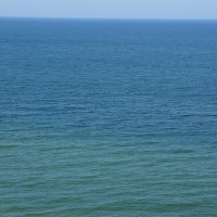 pro  ЦВЕТ..... :: Алёна Савина