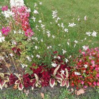 Павловск, Павловский парк :: Галина Минчук