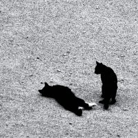 ))) :: Виктор Никитенко