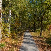 Сентябрьский день :: Александр Синдерёв Сентябрьский день :: Александр Синдерёв