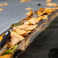 Осень :: Владимир Иванович Осень :: Владимир Иванович