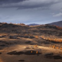 Курай :: Sergey38 