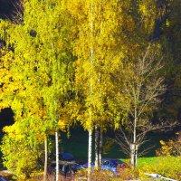 На той стороне улицы - солнце !.. :: Юрий Куликов