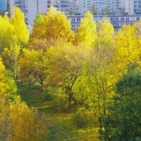 Вчера вечером... :: Юрий Куликов