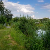 Летний уголок... :: Николай Гирш