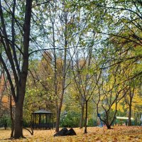 ,,, :: Сергей Тимоновский