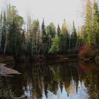 Тихая заводь :: Сергей Никифоров