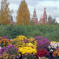 Зарядье 18 октября :: Михаил Бибичков