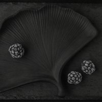 Лист из гипса :: Валерий Елистратов