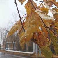 Дождь над промзоной. :: Вячеслав. Синицын