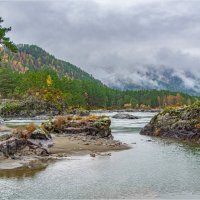 ****** :: Алексей Мезенцев