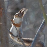 кайф... :: Andrey Bragin 