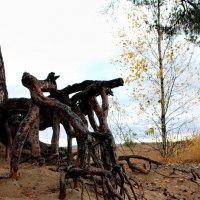 Корни :: Мария 