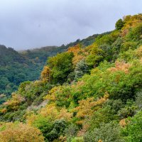 В горах осень уже началасьв середине августа :: Георгий А