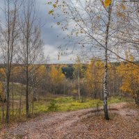 Палитра октября... :: Владимир Жданов Палитра октября... :: Владимир Жданов