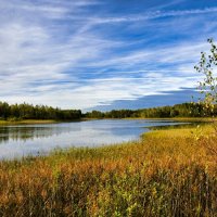 Про озёра Смоленщины. :: Милешкин Владимир Алексеевич Про озёра Смоленщины. :: Милешкин Владимир Алексеевич