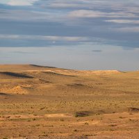 пейзажи Гоби в лучах заходящего солнца :: Galina 