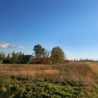 Мимоходом... :: Veera V