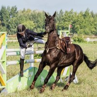 Конкур :: SanSan 