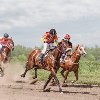 Скачки :: SanSan 