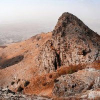 Голова акулы :: Игорь 