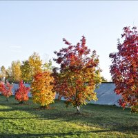 Зарделись рябины... :: Валентина * Зарделись рябины... :: Валентина *