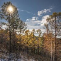 * :: Александр Иванов