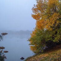 Туман :: Игорь Протасов