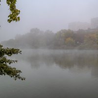 Туман 4 :: Игорь Протасов