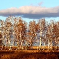 Октябрь. :: Владимир Помазан Октябрь. :: Владимир Помазан