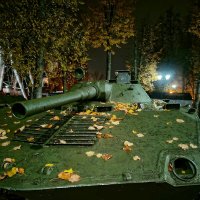 Осенняя листва - она и на броне! :: Vladimir Semenchukov