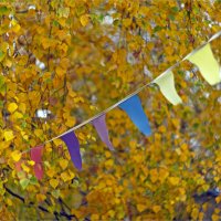 праздник :: Анастасия Северюхина