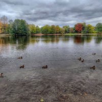 Терлецкие пруды :: Наталья Лакомова