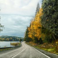 Карелия :: Ольга Cоломатина