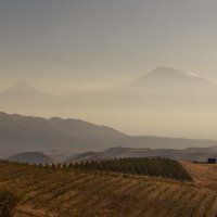 Армения :: Movses Shahinyan