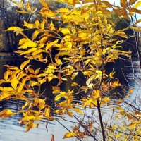 Пожар :: AleksSPb Лесниченко