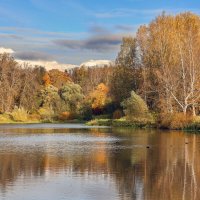 Павловск :: skijumper Иванов