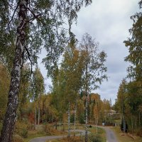 Территория лыжной школы по подготовке олимпийского резерва, Юкки, СПб. Осень. :: Лилия * Территория лыжной школы по подготовке олимпийского резерва, Юкки, СПб. Осень. :: Лилия *