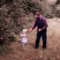 Яблочный сад :: Pawel Klotschkow Яблочный сад :: Pawel Klotschkow