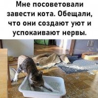 У меня такой же ... :( :: Валерий Кокорев