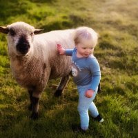 Дружеские отношения :: Pawel Klotschkow