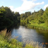 вид у реки Дубны :: fogmeadowww m