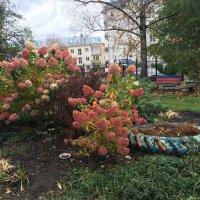 Великолукский дворик... :: Владимир Павлов