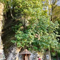 МАЦЕСТА :: Tata Wolf МАЦЕСТА :: Tata Wolf